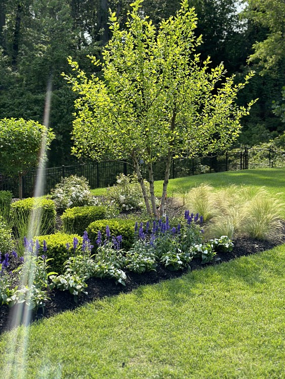 Landscaping Photos, Manhasset, NY